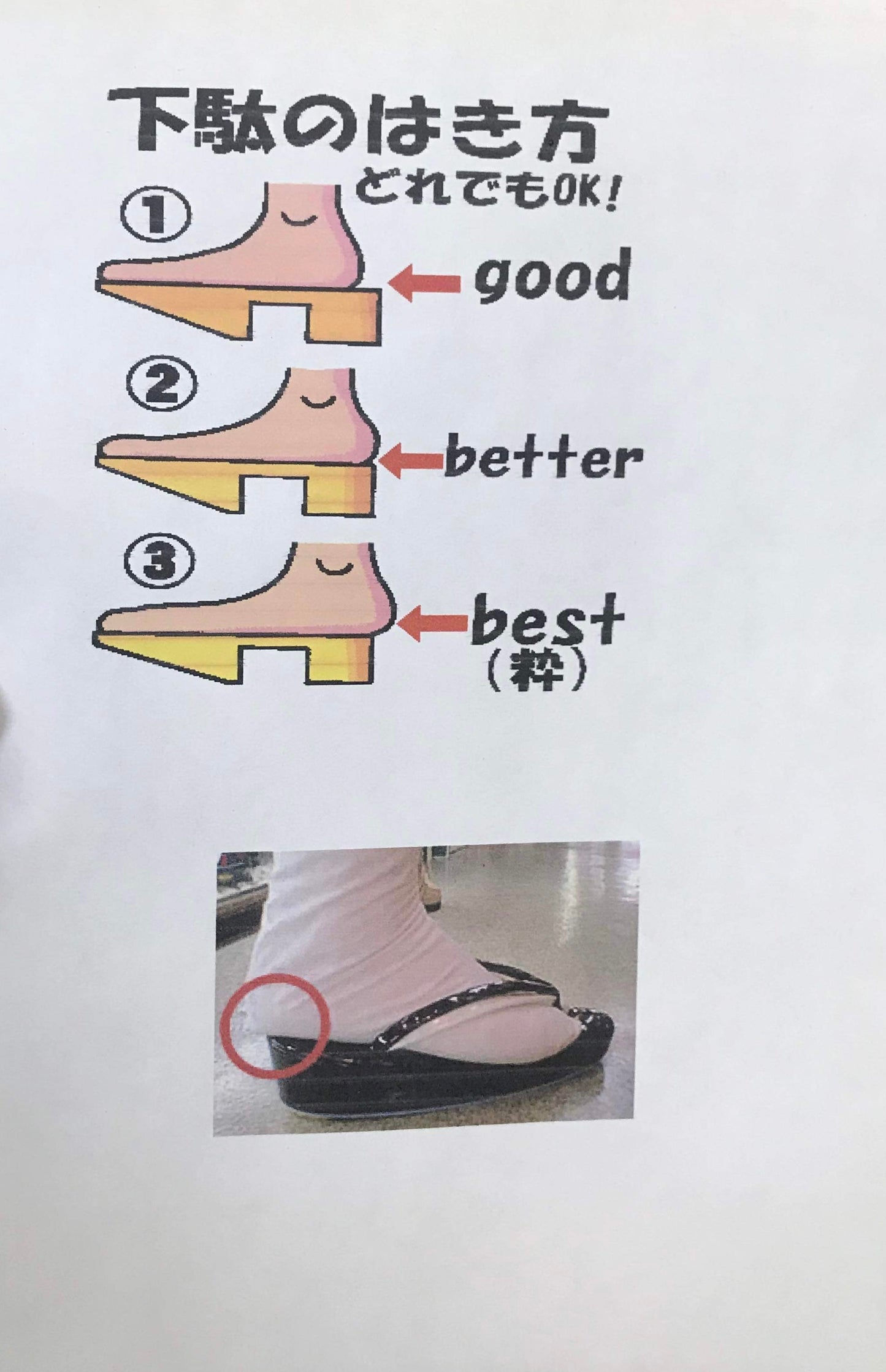 Classic GATA from KYOTO